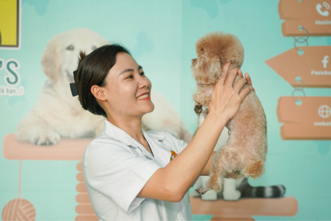 bác sĩ bệnh viện thú y Vpet's bế chó poodle