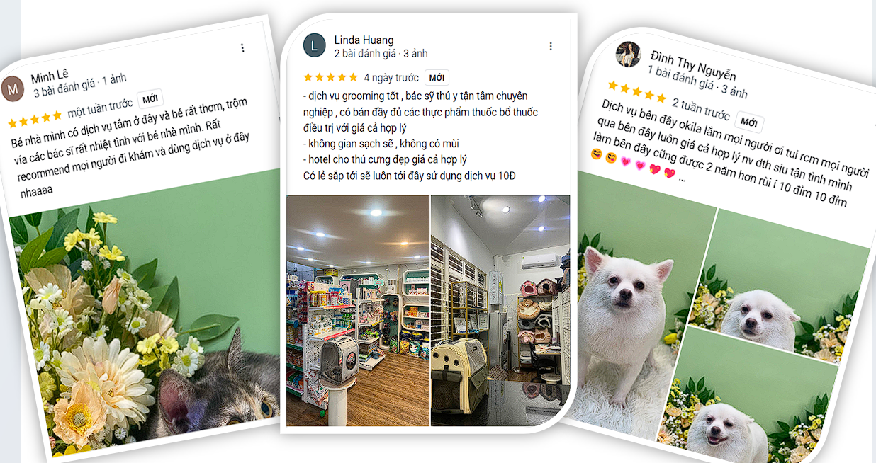 Những phản hồi tích cực của khách hàng tại bệnh viện thú y Vpet's