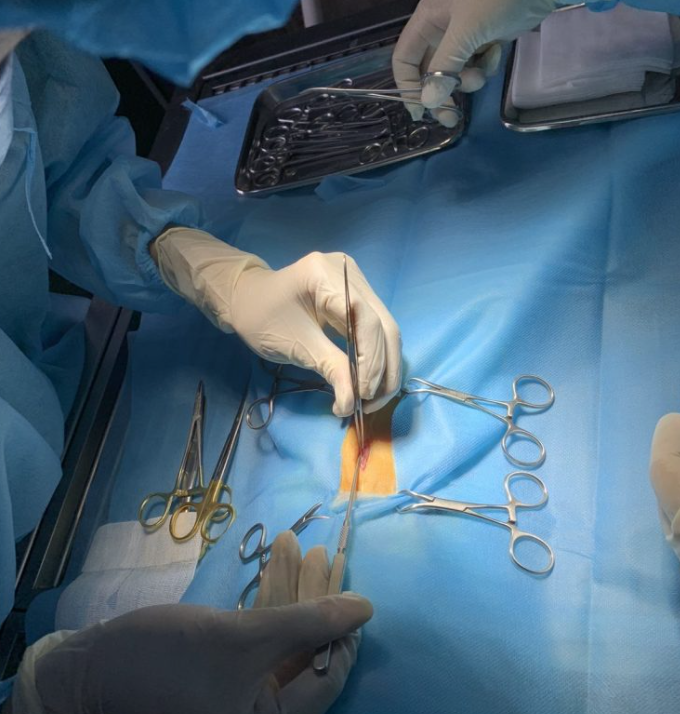 Phẫu Thuật & Chăm Sóc Đặc Biệt – Nơi VPet’s Giữ Trọn Niềm Tin Của Các “Sen”